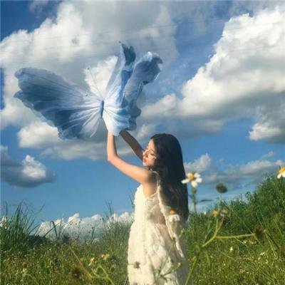 太阳战车的第七头马